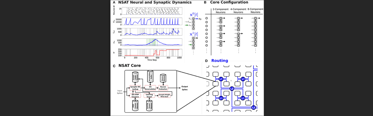 The Neural and Synaptic Array Transceiver (NSAT)